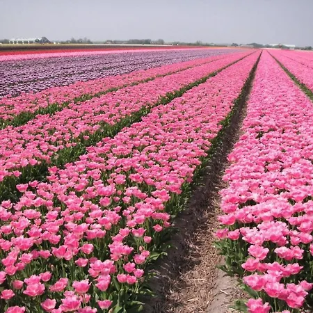 For 6 People, Near The * Sint Maartensvlotbrug