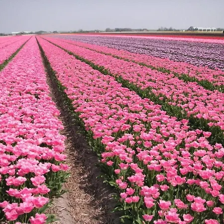 For 6 People, Near The بيت للعطل