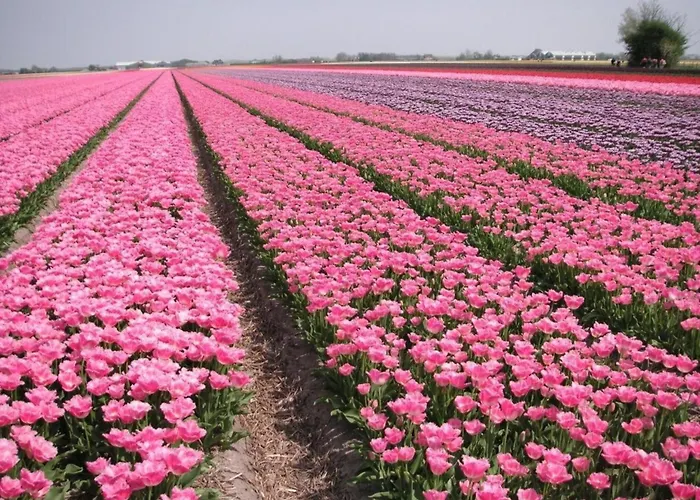 For 6 People, Near The Feriehus