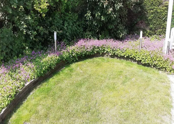 For 6 People, Near The *